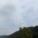 대원온미르 | 충북 진천 가볼만한 곳 농다리부터 미르309 출렁다리 황토맨발숲길까지 초평호 둘레길 후기