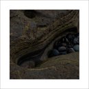 제주사계 이미지