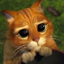 개팔상팔 이미지