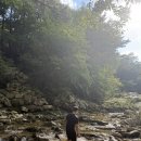 부전계곡주차장 | 함양 부전계곡 농월정 프라이빗한 시골 힐링스팟