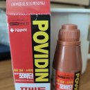 와이레이디여성의원 이미지