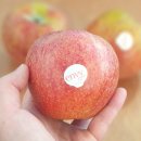 평산농원 이미지