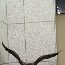 공군박물관 이미지