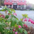 직접만든두부집 이미지