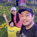 삼달신풍로 | 제주 고흐의 정원 포토존 솔직후기 ㅣ 생각보다 오래 머물렀어요