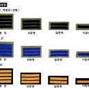 믿거나 말거나 /네이버 지식인 이미지