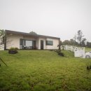 맘앤도그 이미지