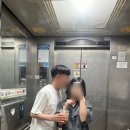 시의회 주차장 안 | 웨딩촬영 _ 릴리드레스 보정x 실착 후기 유색 블랙