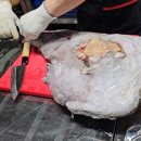 분식 창업 요리 배우기 이미지