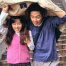 아이리스 이미지