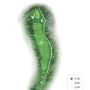 소피아그린 이미지