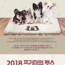 프리미엄펫 이미지