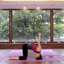 건강요가(목) 이미지