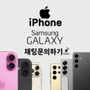 삼육당 네이버블로그