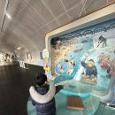 아하키즈어린이집 | [ 육아 / 키카추천 ] 서울형 키즈카페 뚝섬자벌레점 | 4살 아기랑 방문후기(준비물, 입장료 등 총정리)