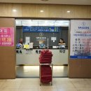 스파리스 이미지