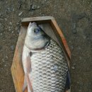 항포낚시터 이미지