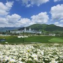 하이원랜드 이미지