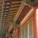 순천-56호 이미지