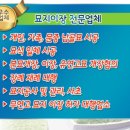 성심장묘토탈서비스