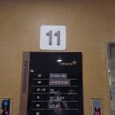 비바체레스토랑 | 하동 숙소 추천_비바체 리조트 40평 객실 후기(호수뷰 산책로 체크인 정보)