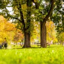 가산공원 파크골프장 이미지