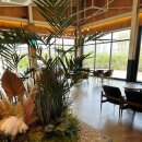 만해카센타 이미지