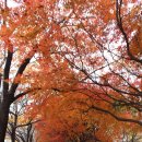 광명대교 이미지