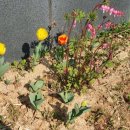 경북지업사 이미지