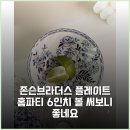 존슨브라더스 플레이트 홈파티 6인치 볼 써보니 좋네요