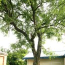 추정2리 이미지