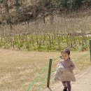 화담다인 이미지