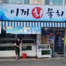 이까물회