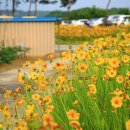 감곡초등학교병설유치원 이미지