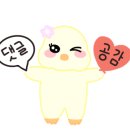 호텔디에디션 이미지