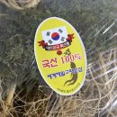풍기정품인삼사