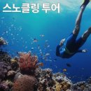 여행하기좋은날