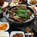 산호황칠나무농원
