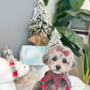 샤방하개 이미지