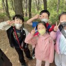 용인대 최강 태권도장 | 안성 용인대 무위 태권도 주말 비봉산 등산~후기