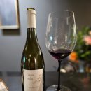 클레마티스 | Claire Naudin, Clematis Vitalba 2022 (클레어 노당, 클레마티스 비탈바)