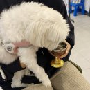 포지티브 보울 이미지