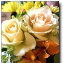 감쪽같이 이미지