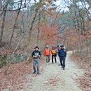 수요산행방 11/20 북한산우이령(곰배방장님리딩) 이미지