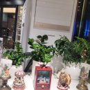 진실이네식당 | [공지] 시흥능곡역 맛집 LA양념갈비 좋은 진실식당 후기