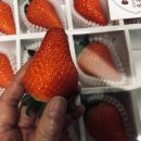 나길농장 이미지