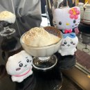 홍대/연남 로얄싸롱 오전 방문후기(모닝세트 + 커피젤리)