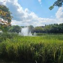 그레이컴퍼니 이미지