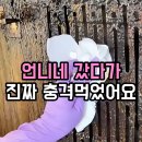 진솔세탁소 | "30년 된 빌라 주방이 왜 새집 같아?" 언니네 집 갔다가 충격받고 훔쳐 온 ‘화석 기름때’ 삭제 치트키...