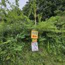 참살이 가족 캠핑장 | 오랜만에 엄마랑 다녀온 힐링 숲뷰 캠핑장, 안성캠핑장 추천 명당"참살이오토가족캠핑장"